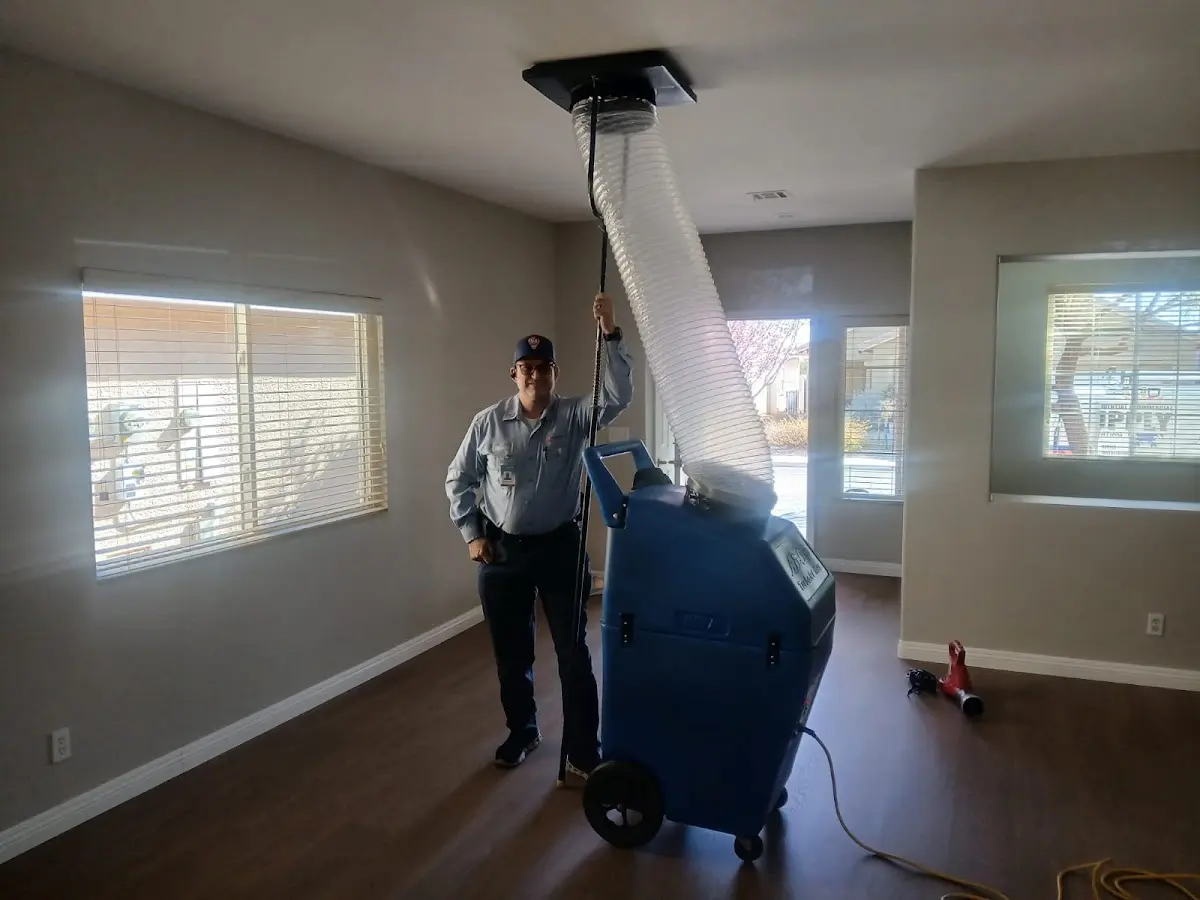 Professional Dryer Vent Cleaning work inside a Westminster home